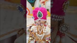 nitya seva #240426 #nityaseva #kanudo #kanha #ladugopal #viral #trending