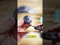 iPhone 17 Wireless Charging Just Got Cooler ❄️ #INIU #INIUSnapGoPad