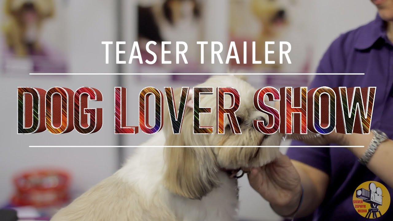 Trailer For The Dog Lover Show Belter Adventures YouTube