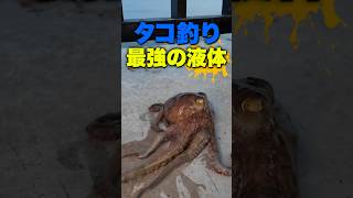 タチウオ釣りに最強の「液体」 #shorts  #shorts