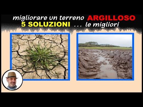 Video: Terreno argilloso: proprietà, vantaggi, svantaggi, piante