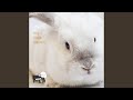Cute Cute 귀염뽀짝 