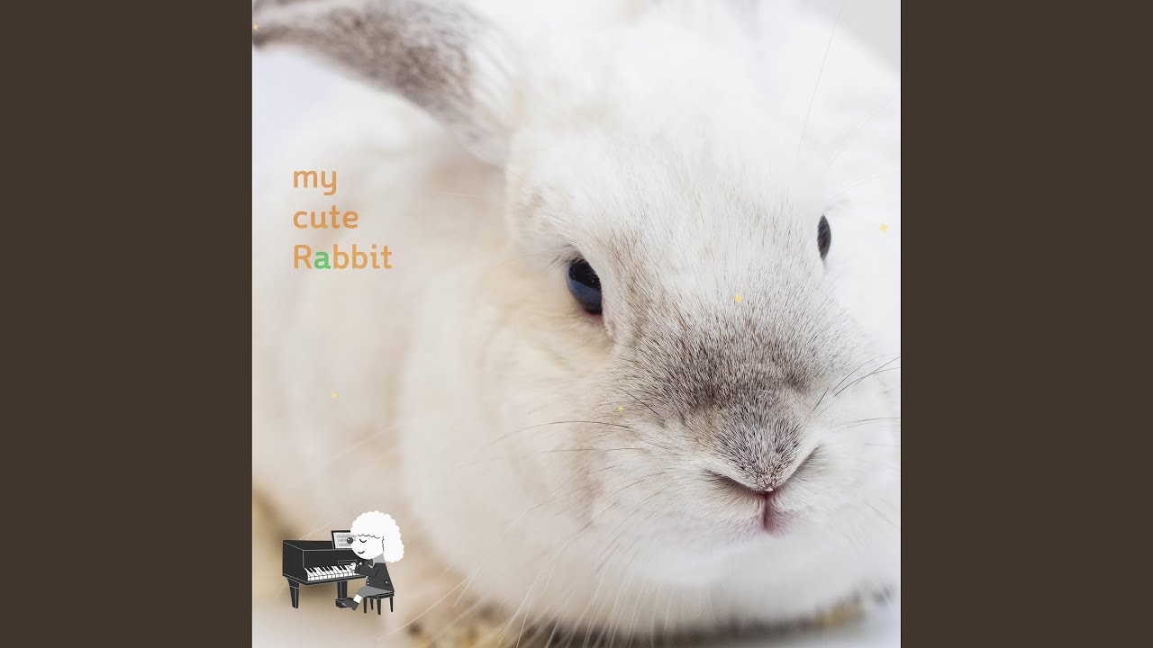 Watch Cute, cute (귀염뽀짝) on YouTube Watch Cute, cute (귀염뽀짝) on YouTube