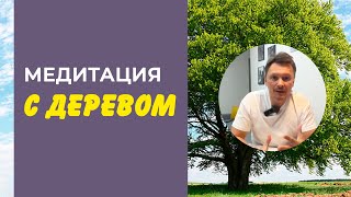 МЕДИТАЦИЯ С ДЕРЕВОМ