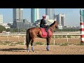 LAUREL RIVER ⭐️ Penultimate DWC24 Breeze