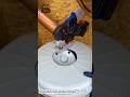 DIY Water Filter Hack Using Mesh Screen &amp; PVC Pipe | Satisfying Drain Filter Setup