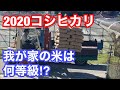 2020 コシヒカリ、我が家の米は何等級⁉︎