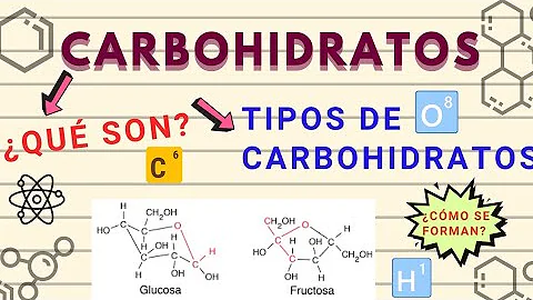 ¿Cómo se clasifican los carbohidratos UNAM?