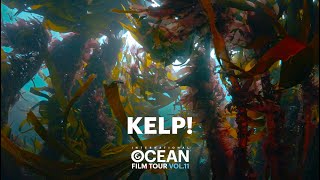 KELP! trailer | Int. OCEAN FILM TOUR Vol. 11