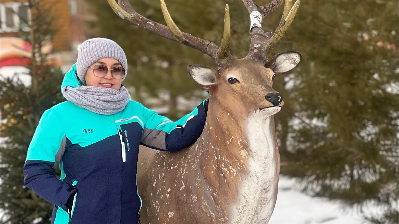 Актобе - Мартук. “Зәру” санаторий пантолечебница. Обзор 1 часть
