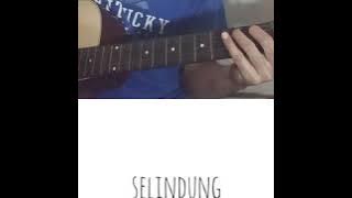 Cover Fiersa Besari - Selindung
