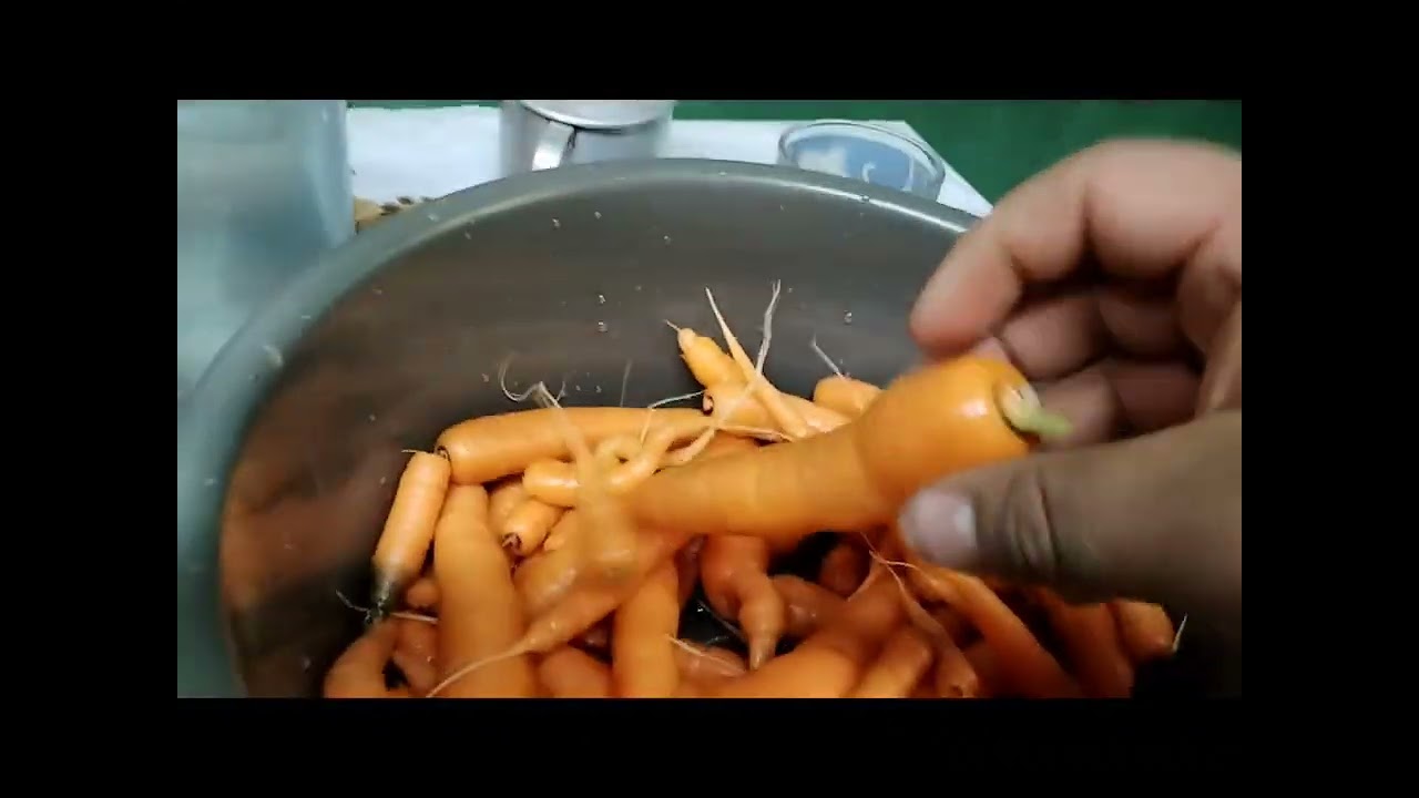 Producción agrícola rural. 