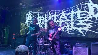 Amputated Genitals - Live in Bogotá, Colombia (Feb 3rd, 2024)