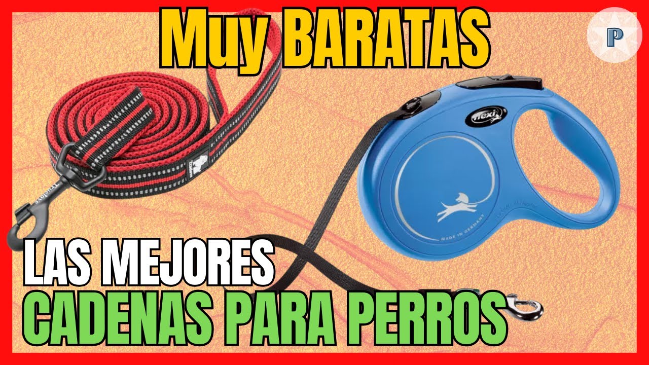 🐶 Las 4 mejores CORREAS PARA PERROS BARATAS de Amazon 🐶 || 2024 || Mejor CALIDAD y PRECIO