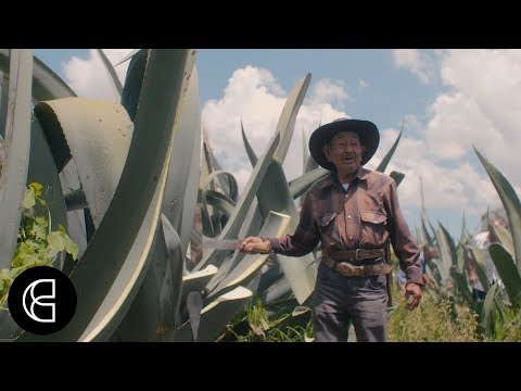 Mexico’s Pulque, Tequila’s 2,000-Year-Old Cousin, Is Being Given a Modern Twist | Hungerlust Ep 3 image