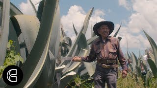 Mexico’s Pulque, Tequila’s 2,000-Year-Old Cousin, Is Being Given a Modern Twist | Hungerlust Ep 3
