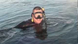 Snorkeling with Manatees - Plantation Inn Crystal River Florida