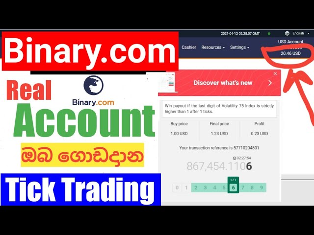 Binary.com Real Account Tick Trading 2021 - Lakmal Liyanaarachchi - Sinhala class=