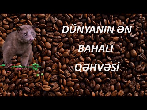 Video: Kağızı Qəhvə Ilə Necə Yaşlandırmaq Olar