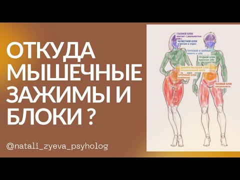 Мышечные зажимы и блоки как снять