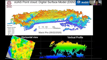 Using Drones for tree survey by Susan Wang