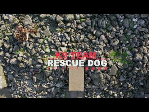 搜救犬訓練/K9 TEAM