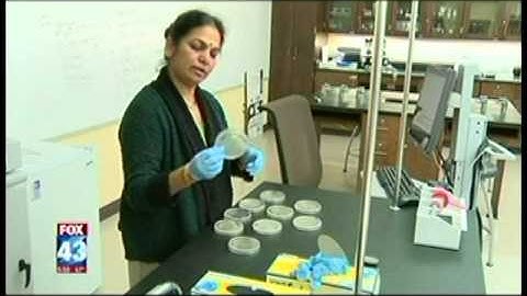Harrisburg University Biotechnology Professor Tests FOX 43 Studios for Germs