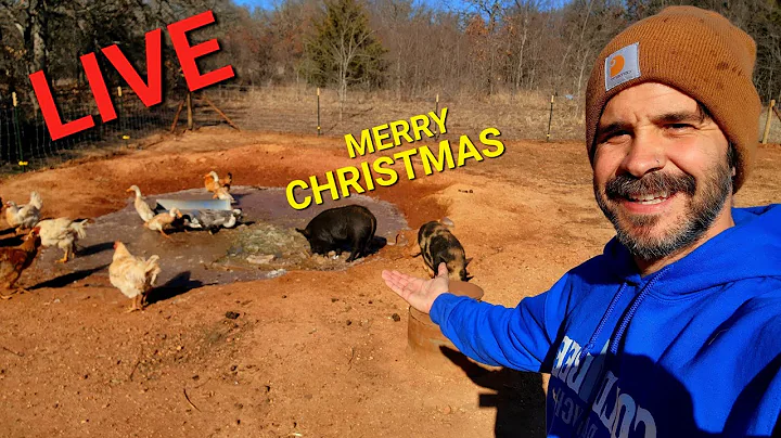 6PM LIVE! Christmas PARTY Time!