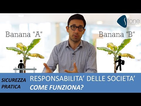 Video: Chi è responsabile della sicurezza fisica?