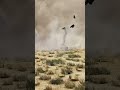 CBU-87 Test Drop | F-16C Block 50 | Splash_Damage_Script_3.4 | DCS World