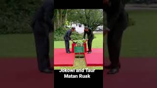 Jokowi and Taur Matan Ruak #shorts #jokowi #indonesia #timorleste