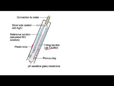 How a pH probe works