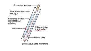 How a pH probe works