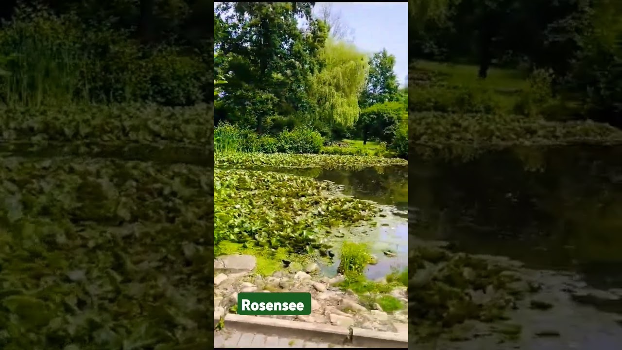 Rosensee 🥰 in Bielefeld mit Kindern. war sehr schön 🥰 