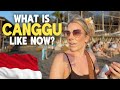 What is bali like now my honest experience of canggu