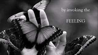 'In Quest of Love' by Collette O'Mahony Book Trailer
