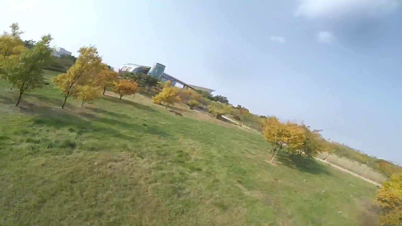 FPV FREESTYLE DALPROP T5045C CYCLONE TEST