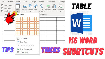 MS Word Table Tutorial with TIPS TRICKS and Important Shortcut Keys in Urdu  Hindi