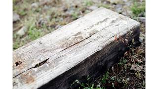 Analog Photography | 2019.04.06. Jugla | ruu.lv