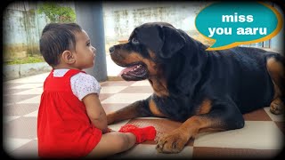 Dog protecting newborn baby | Rottweiler dog with newborn baby | Rottweiler dog