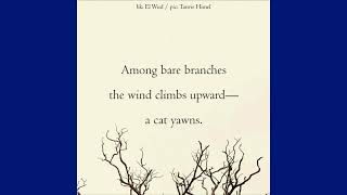 Wilfried Hanrath - Among Bare Brances (Naviarhaiku 658)