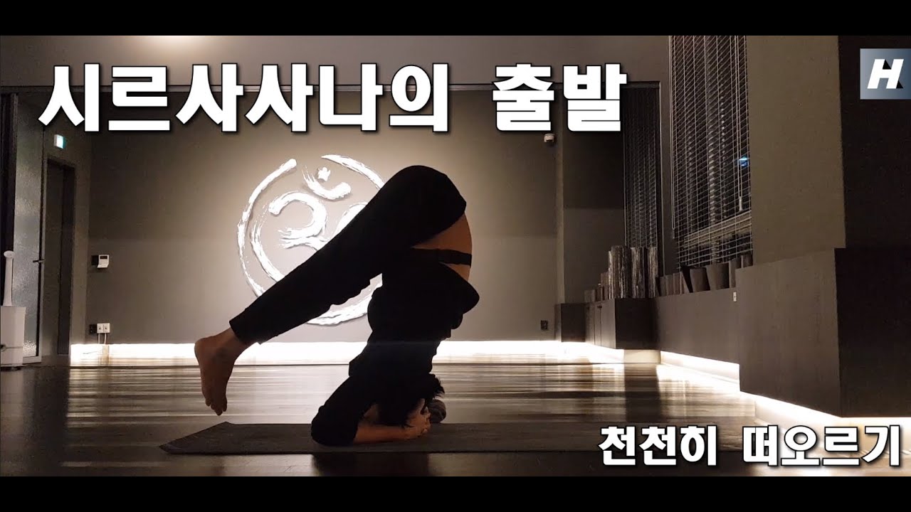 [요가자세 집중탐구]시르사사나의 출발! 바닥에서 떠오르는 방법!