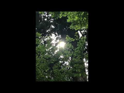 【歌の動画】さよならの向こう側