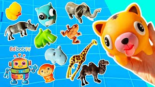 Sink Or Float Learn Animal Names At The Pool For Kids Crocodile Camel Giraffe Horse Duck