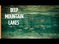 The Fascinating Wildlife In Deep Mountain Lakes Full Documentary The Fascinating Wildlife In Deep Mountain Lakes Full Documentary
