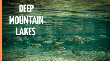 The Fascinating Wildlife in Deep Mountain Lakes | Full Documentary