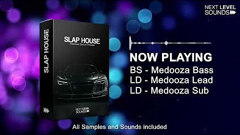 Slap House - Premium Serum Presets / Next Level Sounds