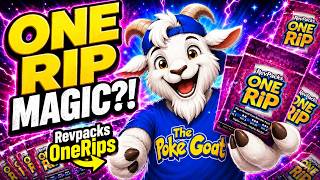 I Bought $400 Worth of PokeRev's One Rip RevPacks! (Good hits!)