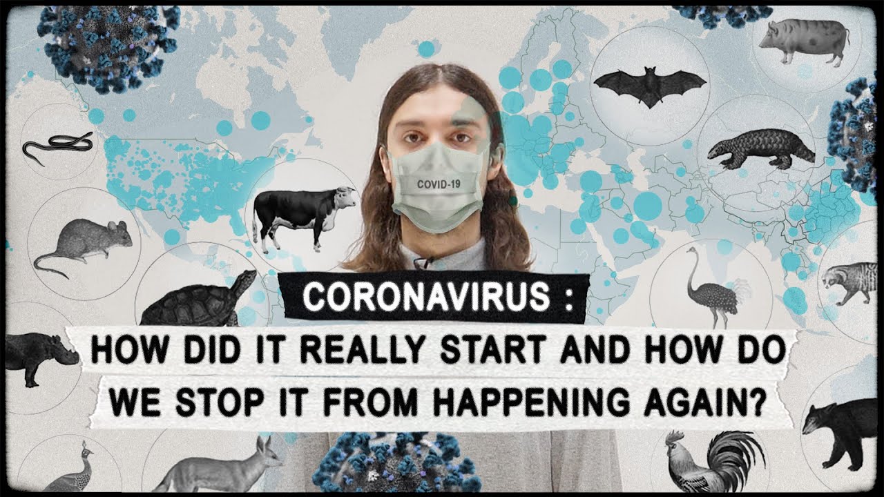 CORONAVIRUS: How Did it Really Start & How Do We Stop it From Happening Again? COVID-19