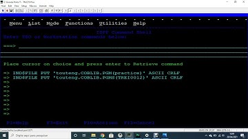 z/OS # Cobol 19  Listing 5.4 Varying the number of entries